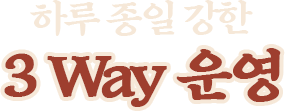 하루 종일 강한 3way운영